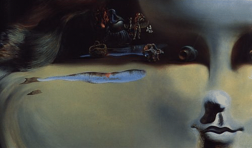 salvador dali