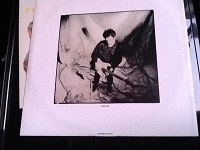 Peter Murphy Should The World Fail To Fall Apart Vinyl