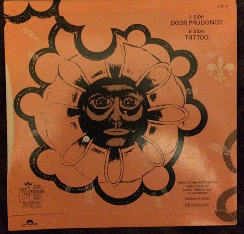 vinyl