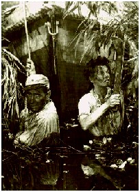 humphrey bogart and katharine hepburn in the african queen