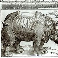 albrecht durer / rhinoceros, print given to maximilian I by the king of lisbon, 1515