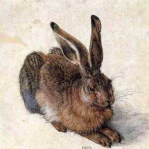albrecht durer print