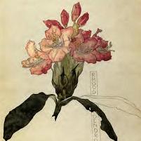 Charles Rennie Mackintosh - Rhododendron