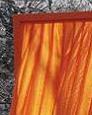 Christo and Jeanne-Claude: The Gates, New York City�s Central Park