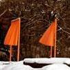 Christo and Jeanne-Claude: The Gates and Fountain, Central Park