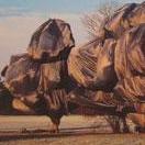 Christo and Jeanne-Claude: Wrapped Trees XIII