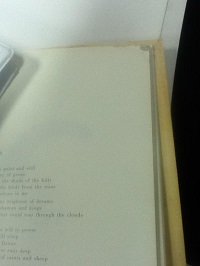 David Sylvian Trophies The Lyrics of David Sylvian Paperback Book