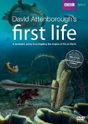 david attenborough first life dvd