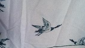 Ducks Single Flatsheet, 100% Cotton