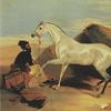 Edwin Landseer Arab Stallion Print