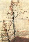 Egon Schiele Autumn Trees Print