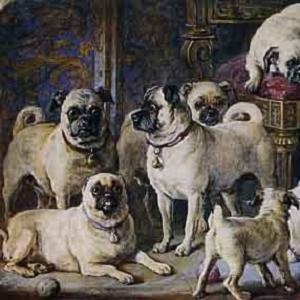 gourlay steell print