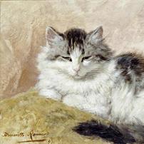Henriette Ronner-Knip - A Cat Fine Art Print