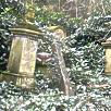 On the way to the Egyptian Avenue, Western Cemetery, Highgate Cemetery, London - March 09