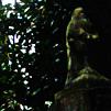 Grave on the way to Comforts Corner, Western Cemetery, Highgate Cemetery, London - March 09