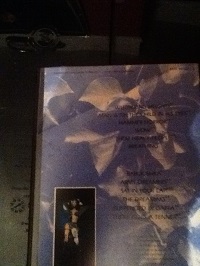 Kate Bush - The Single File VHS Video