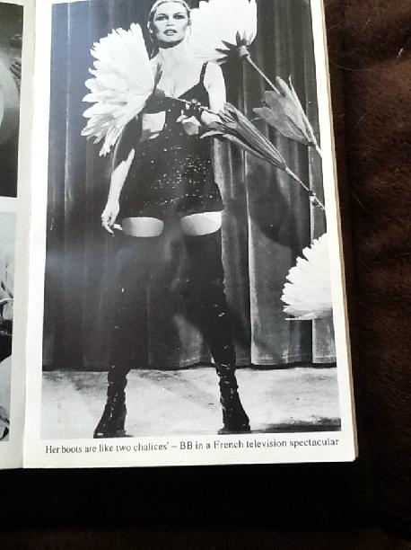 Brigitte Bardot An Intimate Biography Paperback Book
