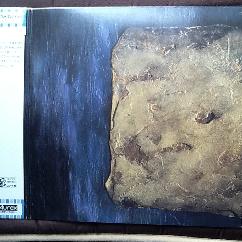 David Sylvian Gone to Earth Japanese Double LP