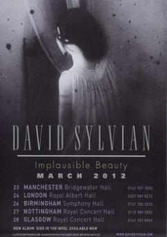 David Sylvian Implausible Beauty UK Tour 2012 Promo Flyer