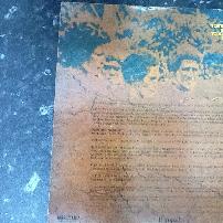 Not Drowning, Waving - The Sing Sing Australian Vinyl LP