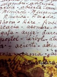 Frida Kahlo The Diary of Frida Kahlo Hardback Book