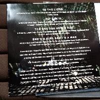 Lloyd Cole - Don't Get Weird On Me Babe UK LP Vinyl