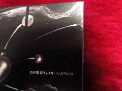 david sylvian camphor cd