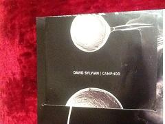 david sylvian camphor cd