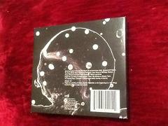 david sylvian camphor cd