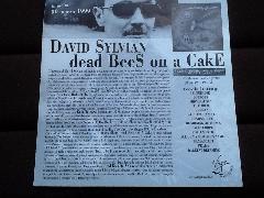 David Sylvian Dead Bees On A Cake Card Promo Display