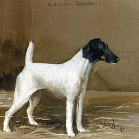 Reuben Ward Binks Smooth Fox Terrier Canvas Print