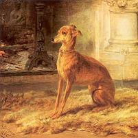 Rosa Bonheur - Italian Greyhound Canvas Print