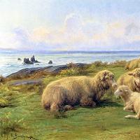Rosa Bonheur - Sheep by the Sea Canvas Print