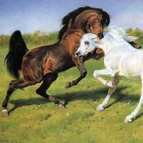 Rosa Bonheur - The Duel Canvas Print