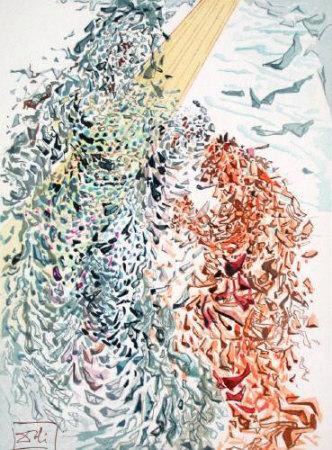 Salvador Dali DC Paradis 11 - Opposition Limited Edition Art Print