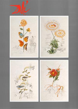 Salvador Dali A Thousand Dreams Art Print