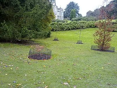 sheffield park garden photographs - more photographs than any other site