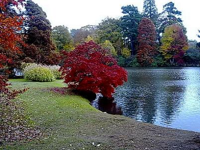 sheffield park garden photographs - more photographs than any other site
