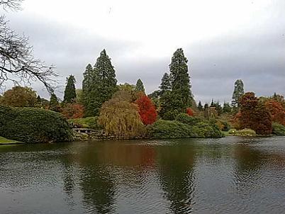 sheffield park garden photographs - more photographs than any other site