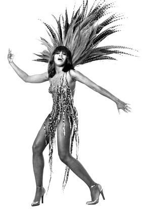 tina turner