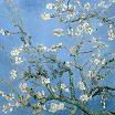 Vincent van Gogh Branches of an Almond Tree Print
