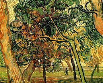 Vincent van Gogh  Study of Pine Trees Canvas Print