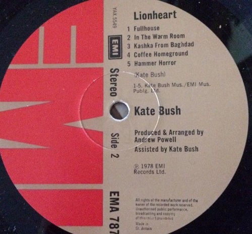 vinyl