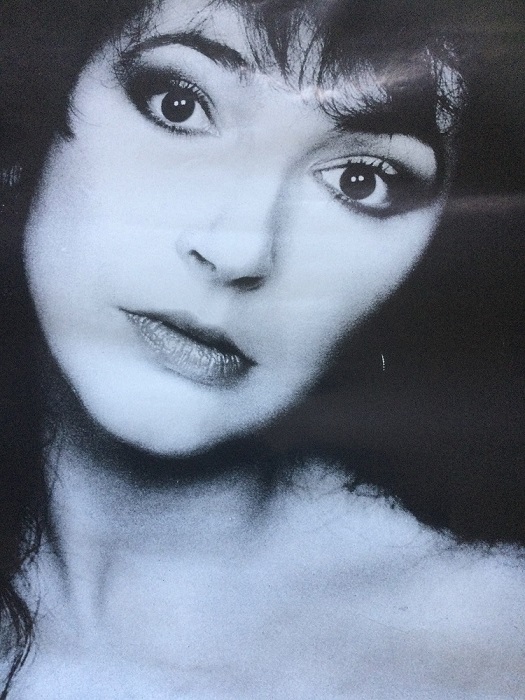 Kate Bush The Whole Story poster